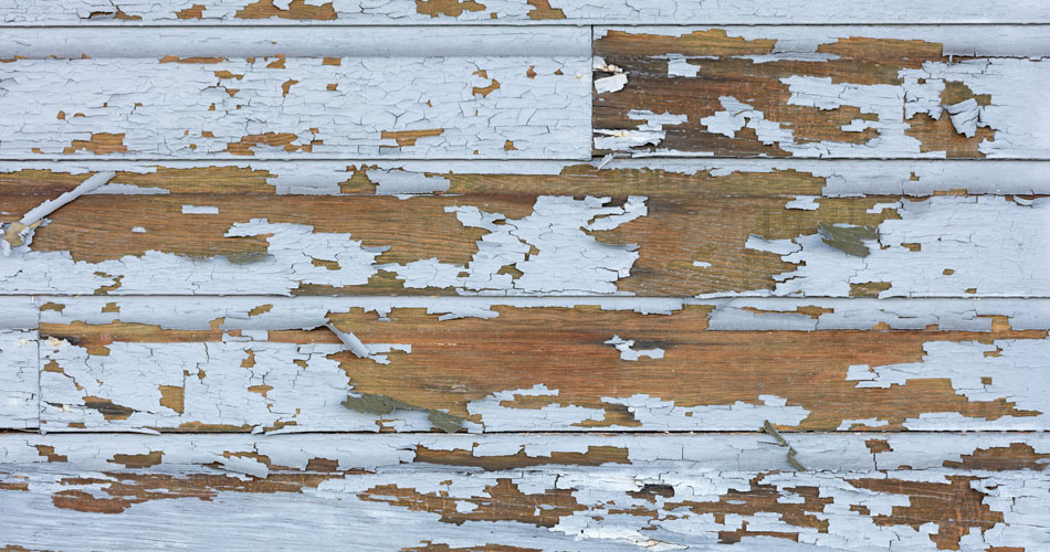 Lead Paint Testing